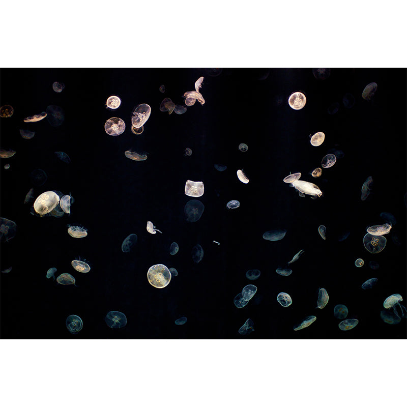 Sea Creatures Mural Personalized Size Wall Covering for Sleeping Room Home Decor