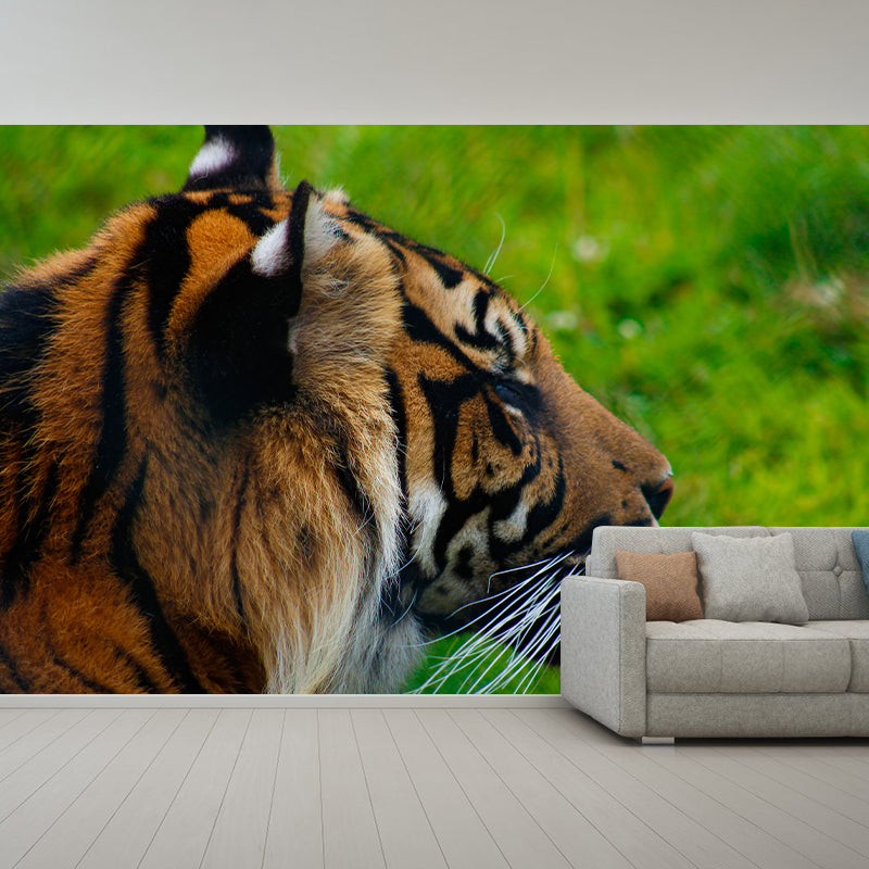 Tiger Animal Wall Mural Stain Resistant Wall Covering for Living Room Bedroom