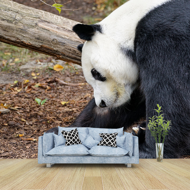 Cute Panda Wall Mural Customized Modern Wall Covering for Bedroom, Water Resistant