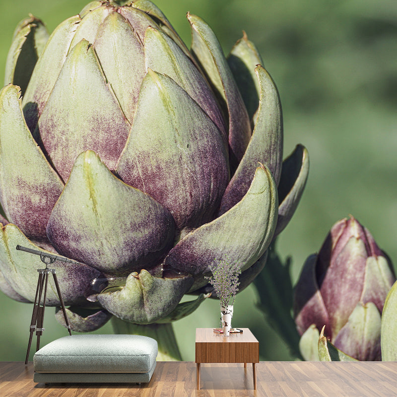Artichoke Plant Removable Wall Mural for Reading Room, Water Resistant