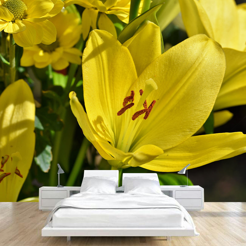 Beautiful Lilies Mural Wallpaper Minimalist Wall Art, Customized Size Available