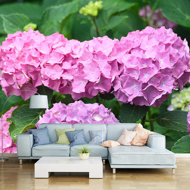 Hydrangeas Mural Wallpaper for Girls Bedroom, Light Color, Custom Print