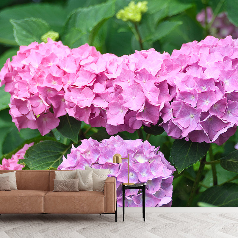 Hydrangeas Mural Wallpaper for Girls Bedroom, Light Color, Custom Print