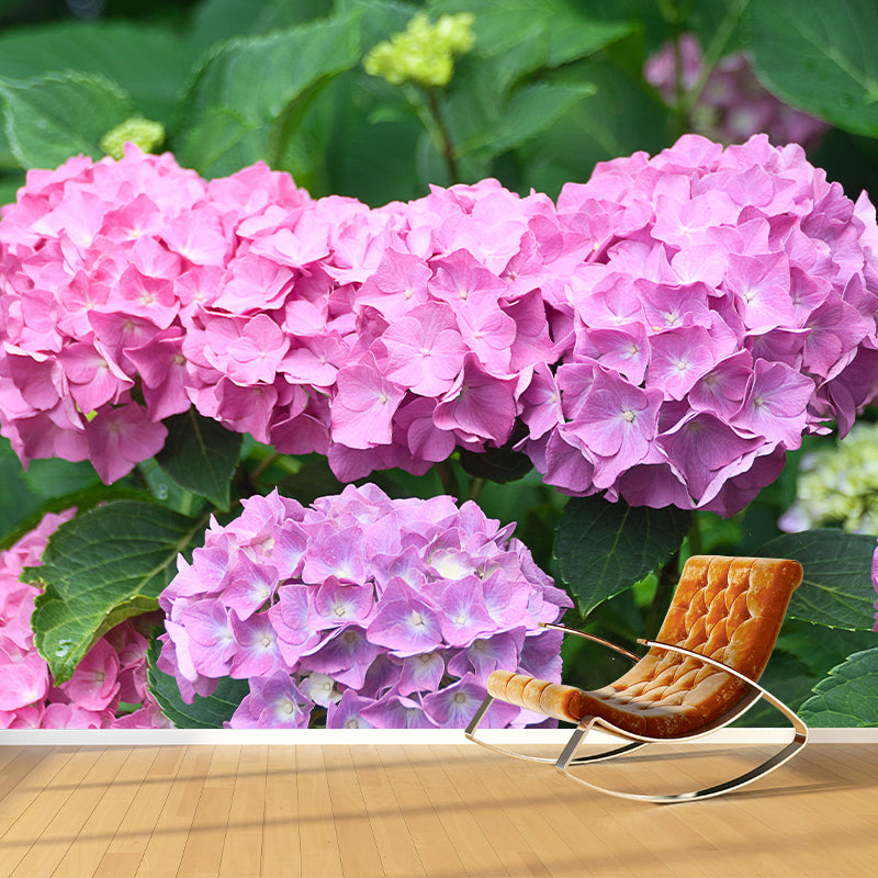 Hydrangeas Mural Wallpaper for Girls Bedroom, Light Color, Custom Print