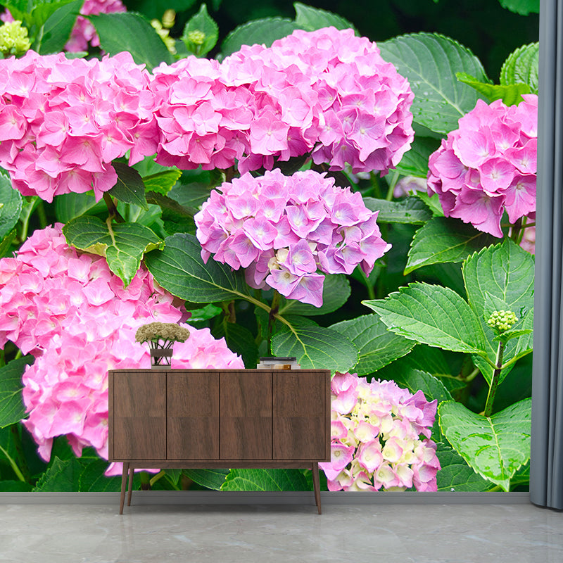 Hydrangeas Mural Wallpaper for Girls Bedroom, Light Color, Custom Print
