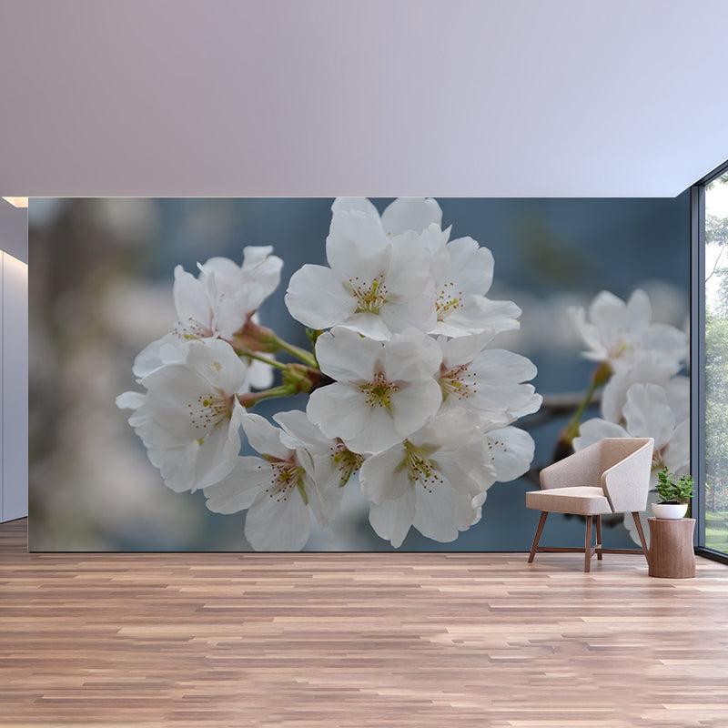 Cherry Blossom Modern Wall Covering for Sleeping Room House Decor, Waterproofing