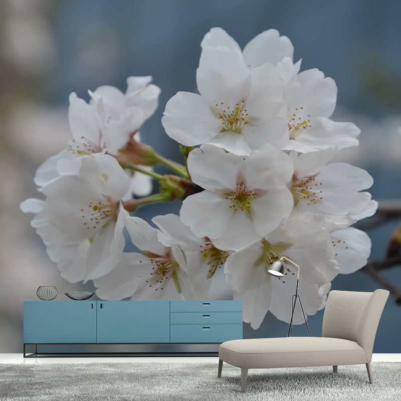 Cherry Blossom Modern Wall Covering for Sleeping Room House Decor, Waterproofing