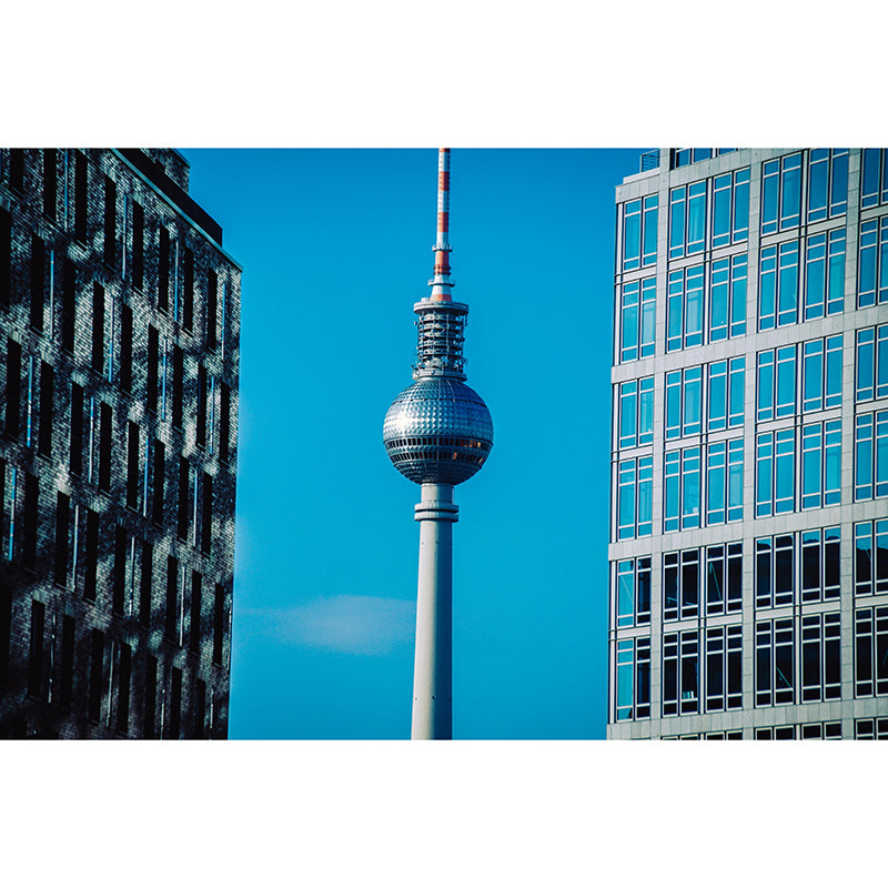 Moisture Resistant Construction Mural Wall Covering for Room Decoration