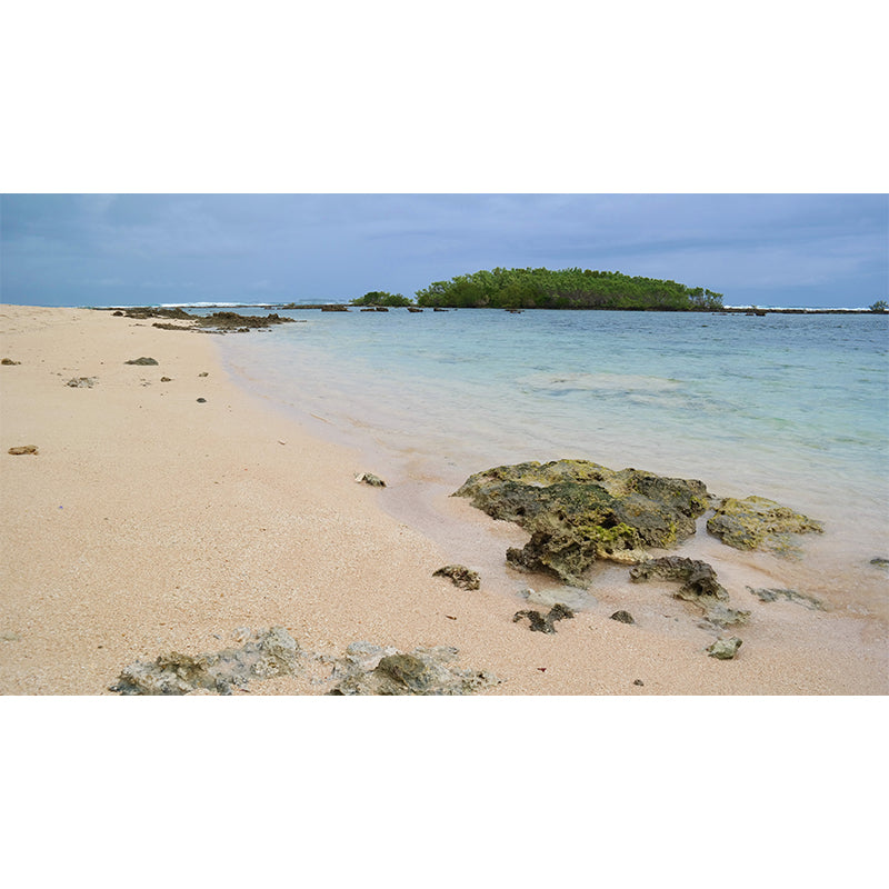 Beach Simple Mural Wallpaper for Living Room Wall Covering in Soft Color