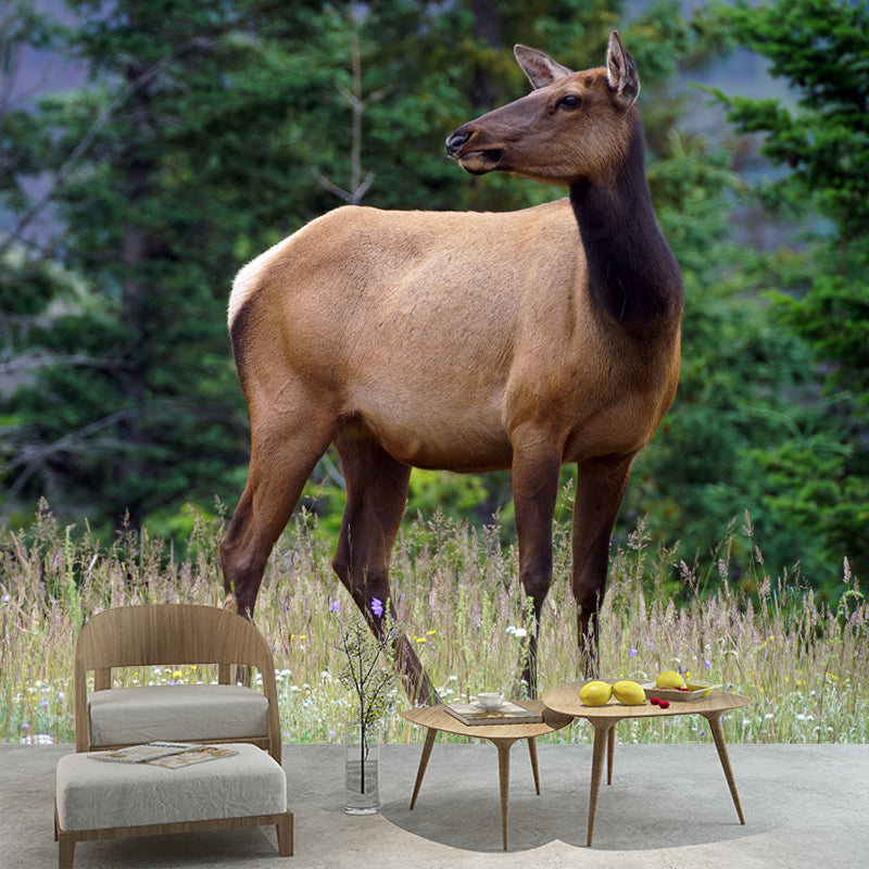 Deer Animal Water-Resistant Wall Mural Minimalist Wall Covering for Living Room Decor