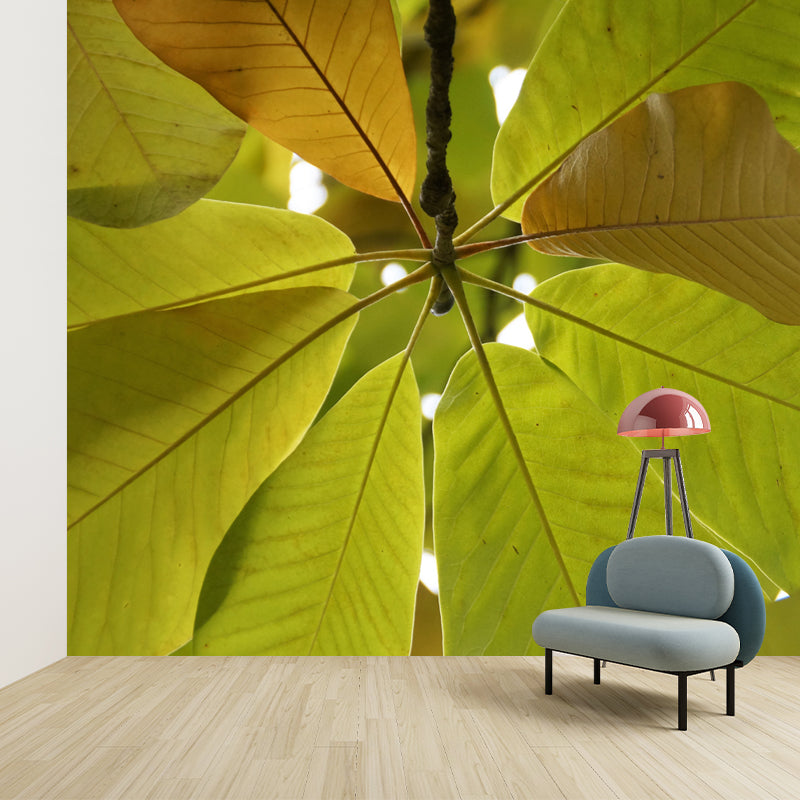 Tree Leaf Wall Mural for Guest Room Decor Moisture Resistant Home Decor