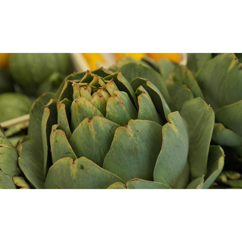 Artichoke Wall Mural for Reading Room Bedroom Decoration, Personalized Size