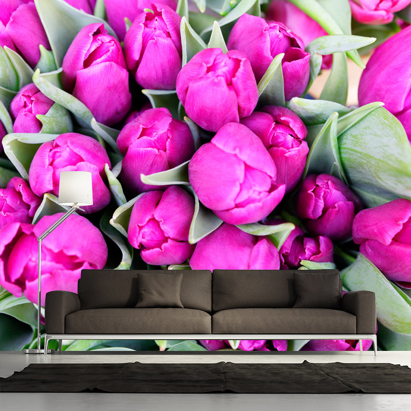 Photography Tulip Wall Mural Decal for Sitting Room, Personalized Size Available