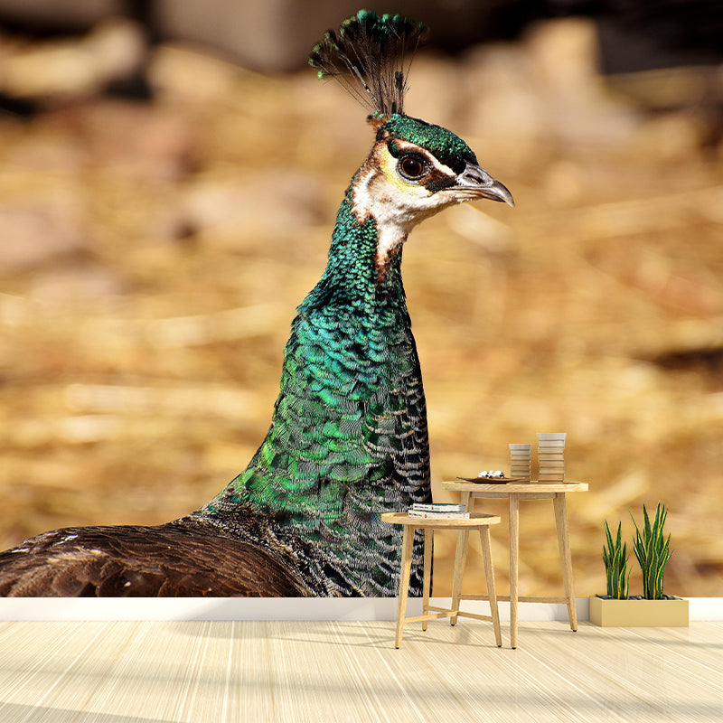 Peacock Animal Mural Wallpaper Stain Resistant Wall Covering for Gust Room