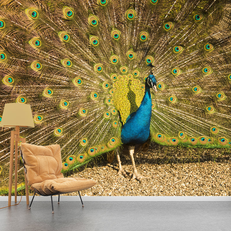 Beautiful Peacock Mural Wallpaper Stain Resistant Wall Covering for Living Room
