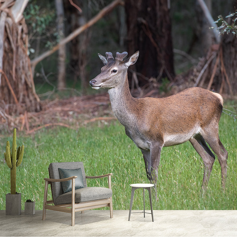 Deer Animal Mural Wallpaper Stain Resistant Wall Covering for Living Room