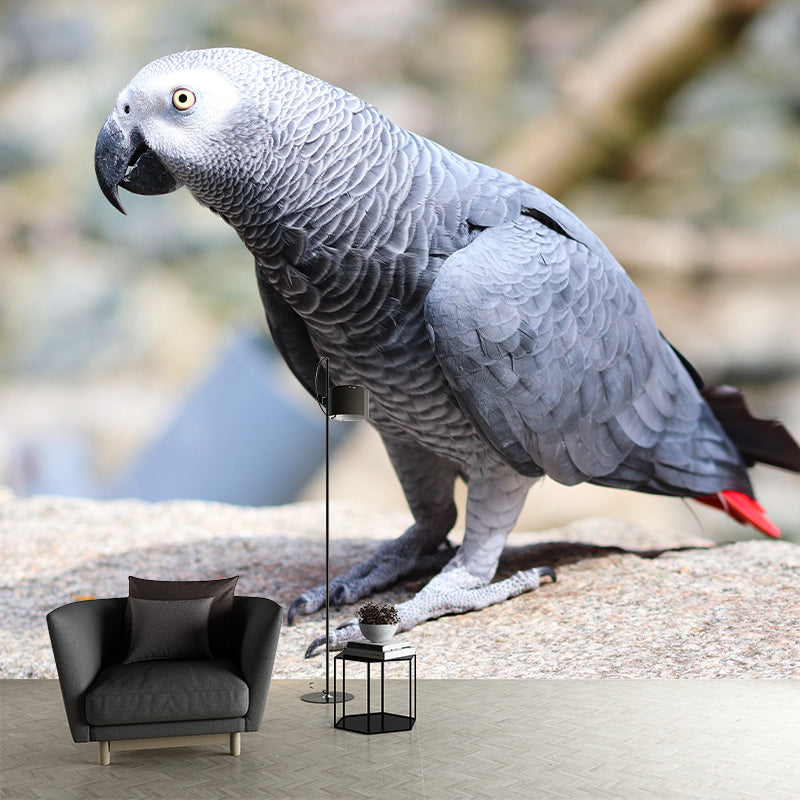 Parrot Animal Mural Wallpaper Stain Resistant Wall Covering for Living Room