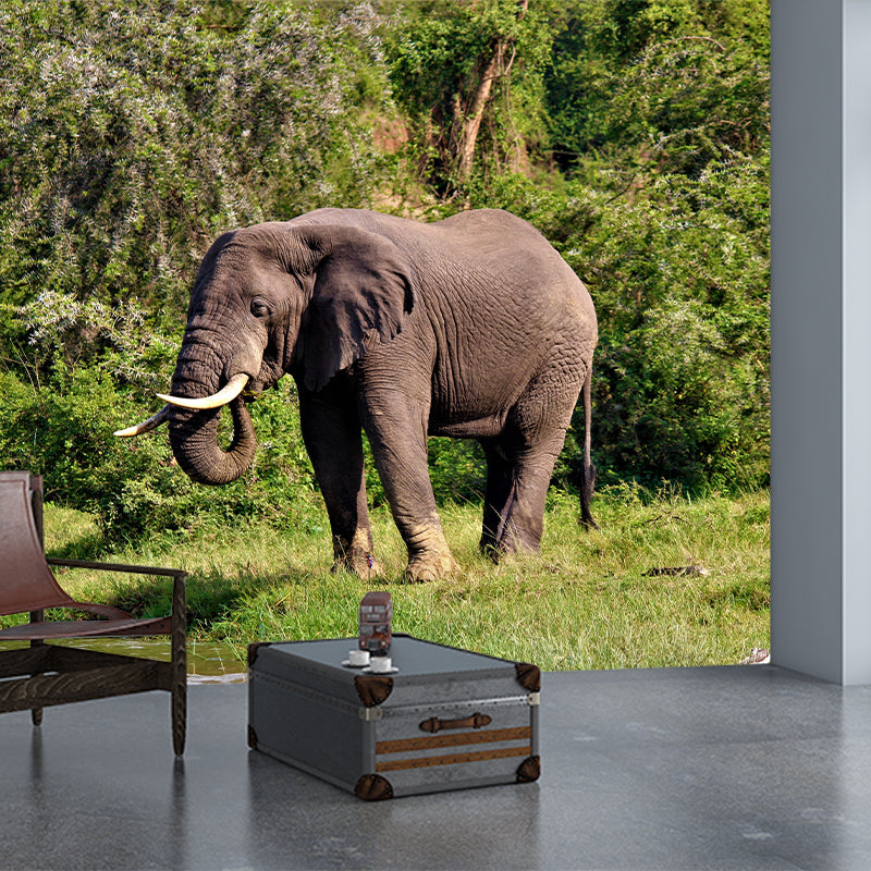 Elephant Animal Mural Wallpaper Stain Resistant Wall Covering for Living Room