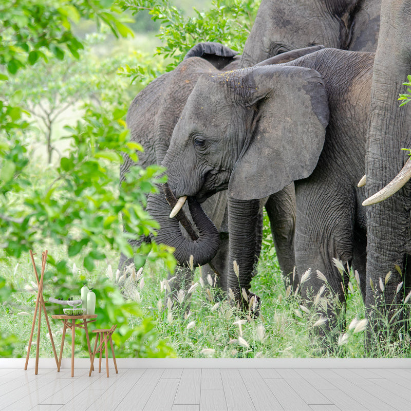Elephant Animal Mural Wallpaper Stain Resistant Wall Covering for Living Room