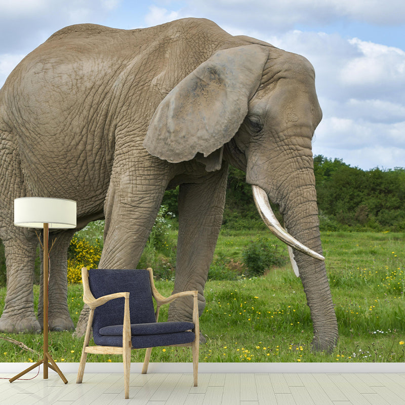 Elephant Animal Mural Wallpaper Stain Resistant Wall Covering for Living Room
