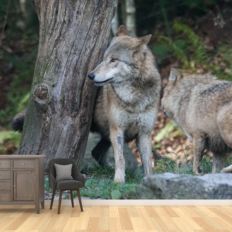 Handsome Woif Mural Wallpaper Stain Resistant Wall Covering for Living Room