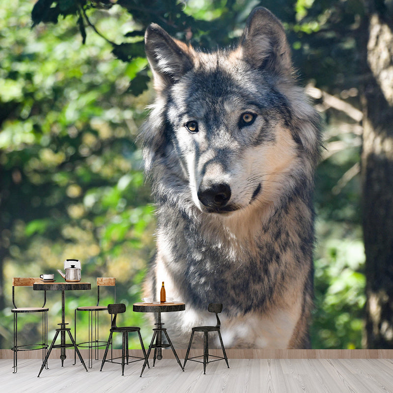 Handsome Woif Mural Wallpaper Stain Resistant Wall Covering for Living Room