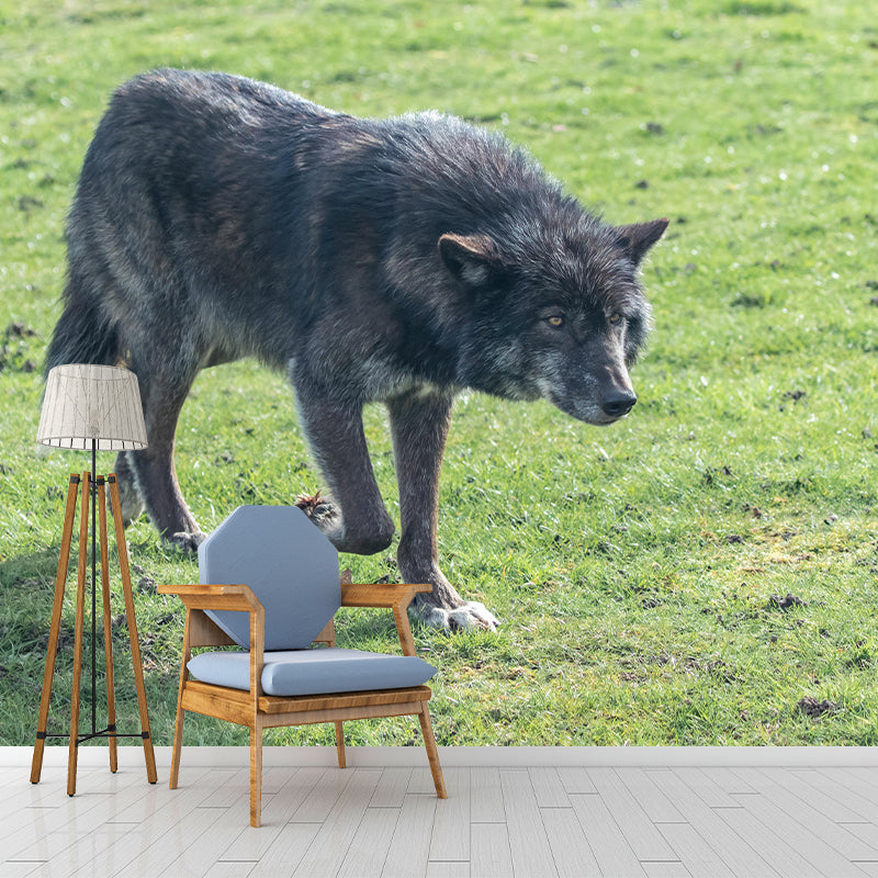 Handsome Woif Mural Wallpaper Stain Resistant Wall Covering for Living Room