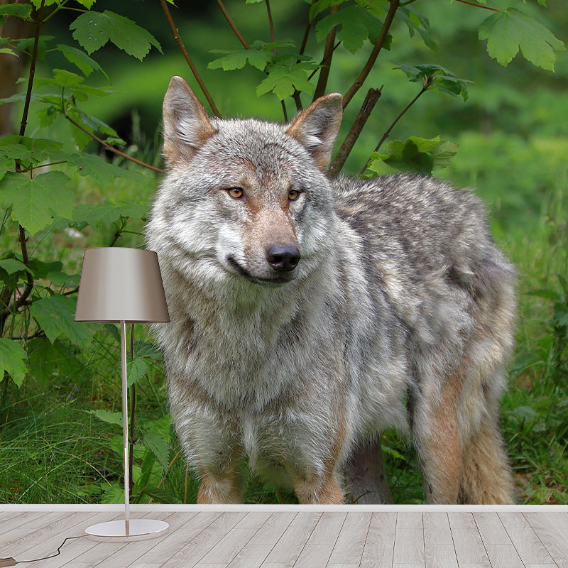 Handsome Woif Mural Wallpaper Stain Resistant Wall Covering for Living Room