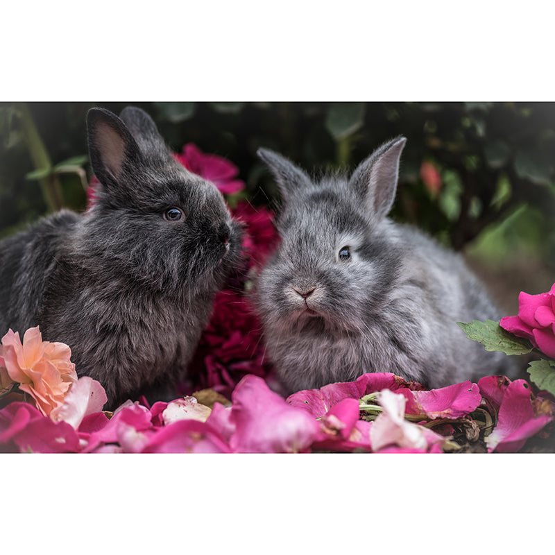 Beautiful Rabbit Mural Wallpaper Stain Resistant Wall Covering for Living Room