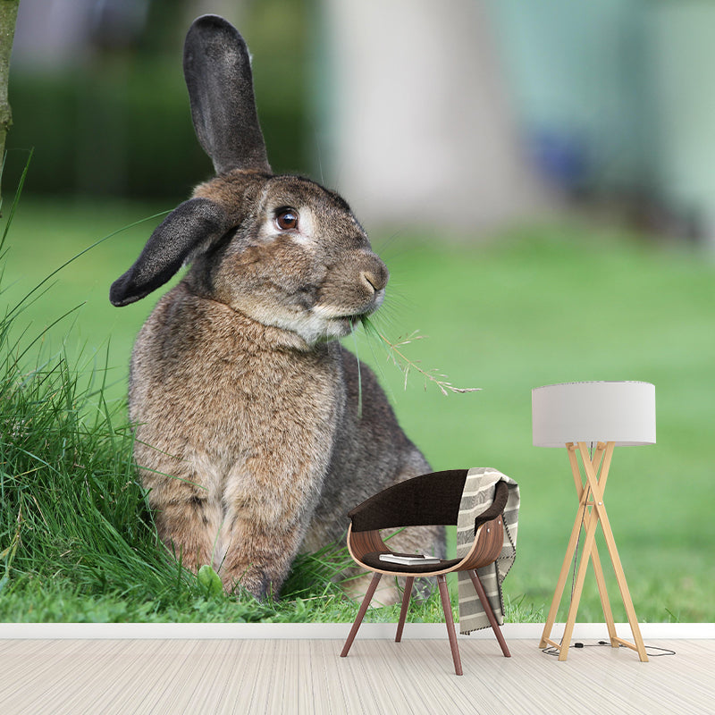 Beautiful Rabbit Mural Wallpaper Stain Resistant Wall Covering for Living Room