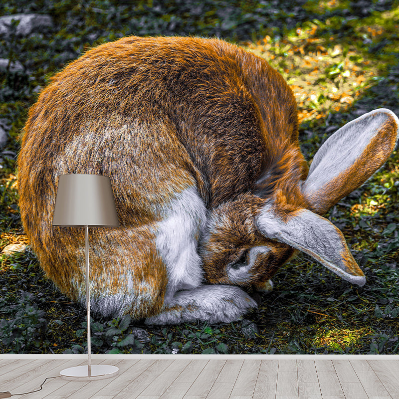 Beautiful Rabbit Mural Wallpaper Stain Resistant Wall Covering for Living Room