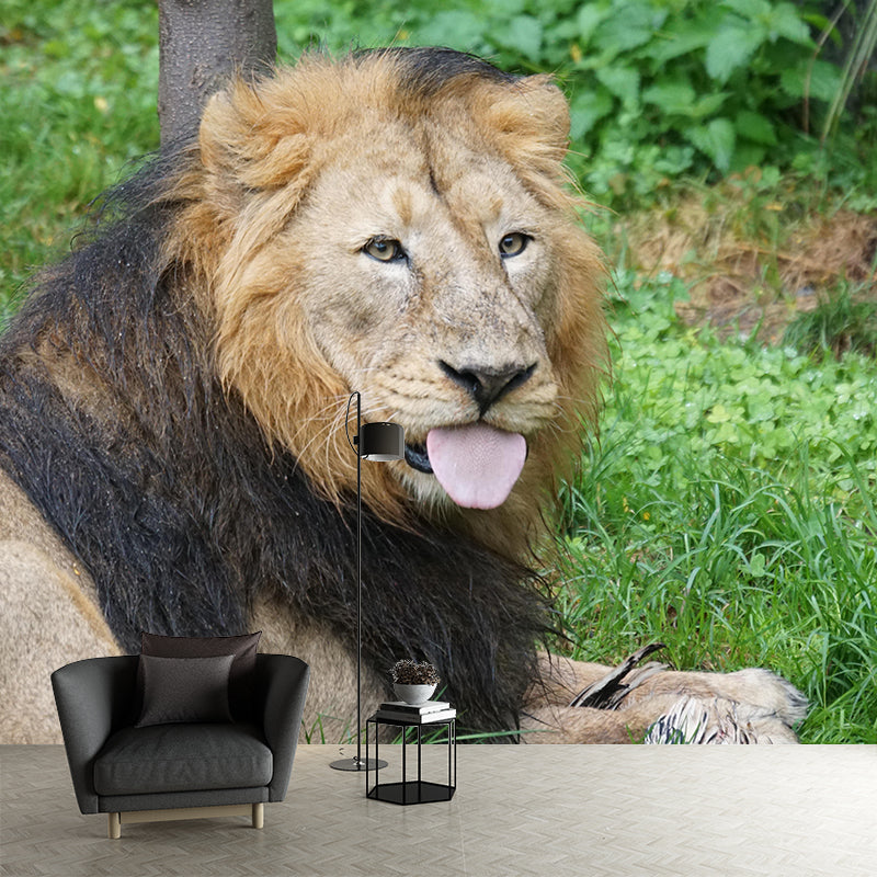 Handsome Lion Mural Wallpaper Stain Resistant Wall Covering for Living Room