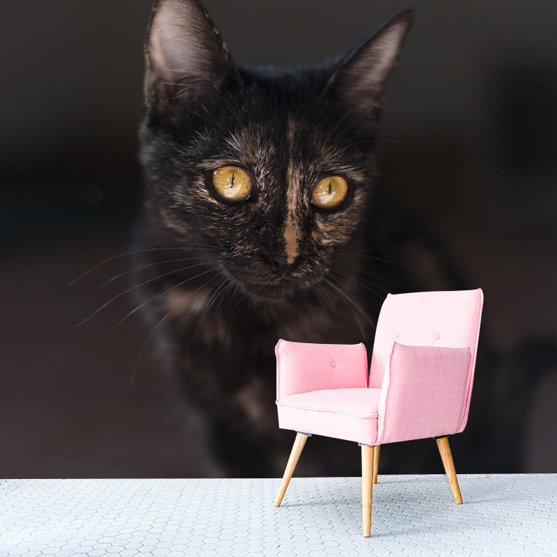 Lovely Kitten Mural Wallpaper Stain Resistant Wall Covering for Sitting Room