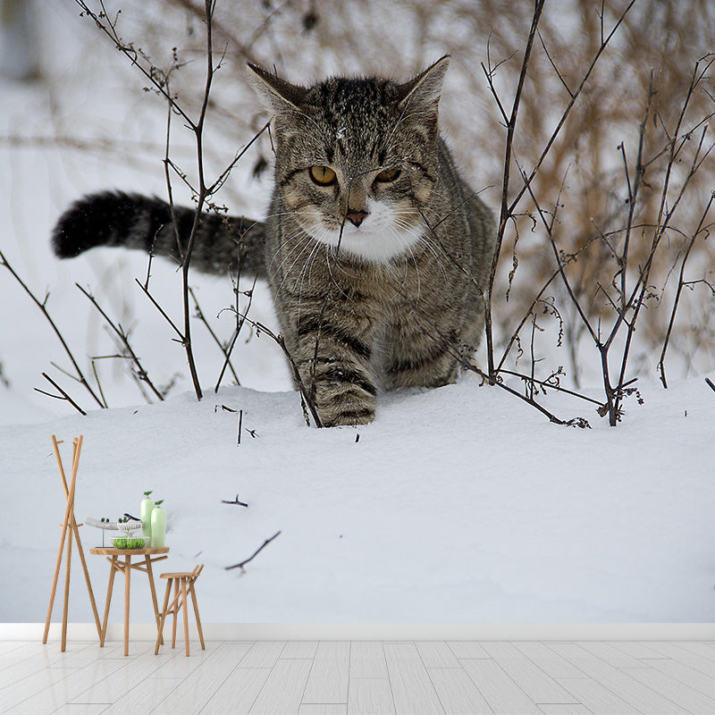 Modern Cat Mural Wallpaper Stain Resistant Wall Covering for Sitting Room