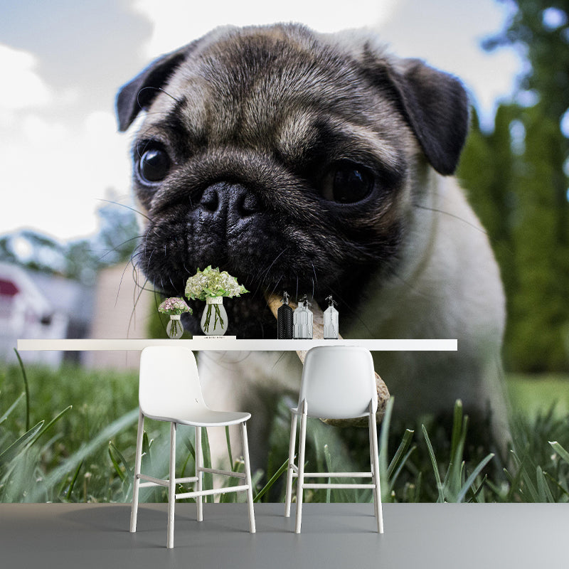 Puppy Animal Mural Wallpaper Stain Resistant Wall Covering for Living Room