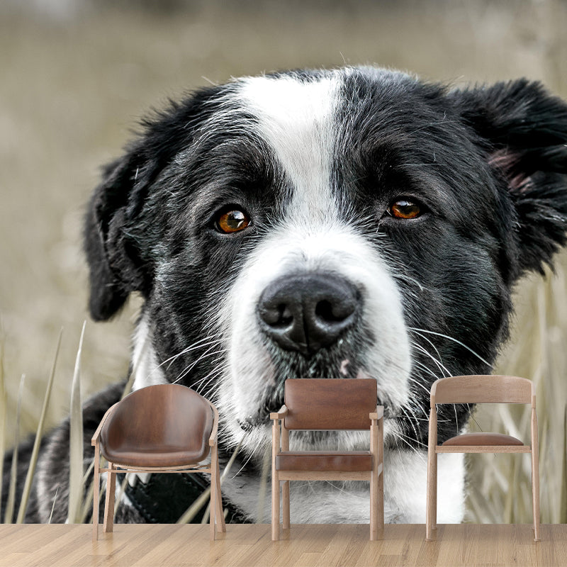 Lovely Dog Mural Wallpaper Stain Resistant Wall Covering for Sitting Room