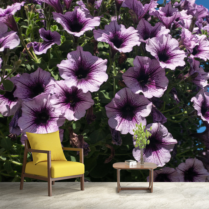 Modern Petunia Mural Wallpaper Stain Resistant Wall Covering for Living Room