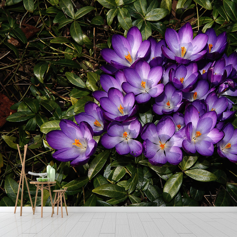 Modern Saffron Mural Wallpaper Stain Resistant Wall Covering for Living Room