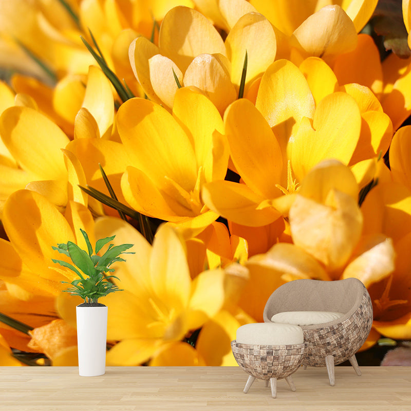 Modern Saffron Mural Wallpaper Stain Resistant Wall Covering for Living Room