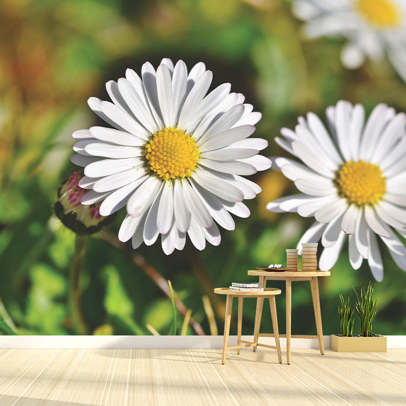 Modern Daisy Mural Wallpaper Stain Resistant Wall Covering for Living Room