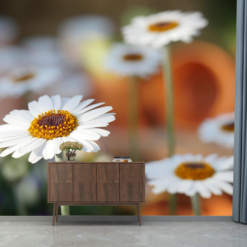 Modern Daisy Mural Wallpaper Stain Resistant Wall Covering for Living Room