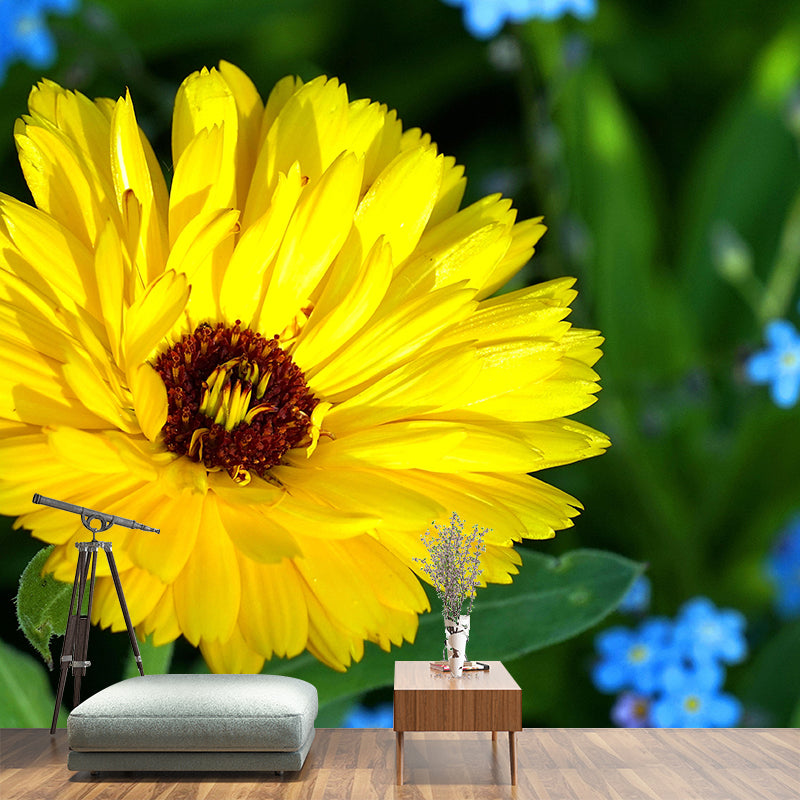 Modern Marigold Mural Wallpaper Stain Resistant Wall Covering for Living Room