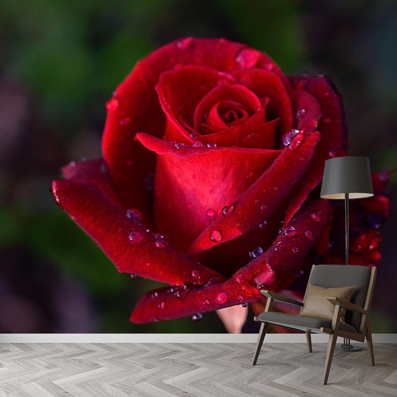 Modern Rose Mural Wallpaper Stain Resistant Wall Covering for Living Room