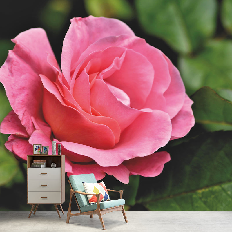Modern Rose Mural Wallpaper Stain Resistant Wall Covering for Living Room