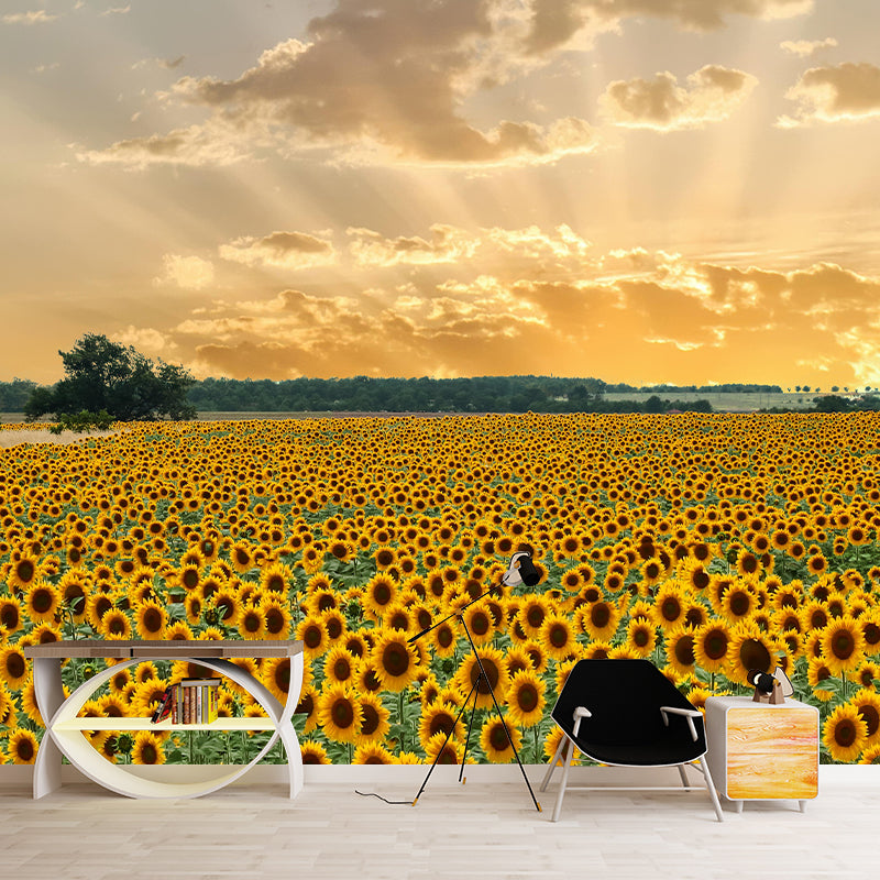 Modern Sunflower Mural Wallpaper Stain Resistant Wall Covering for Living Room
