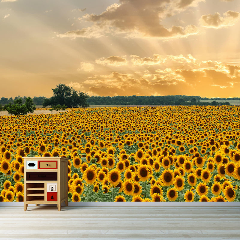 Modern Sunflower Mural Wallpaper Stain Resistant Wall Covering for Living Room