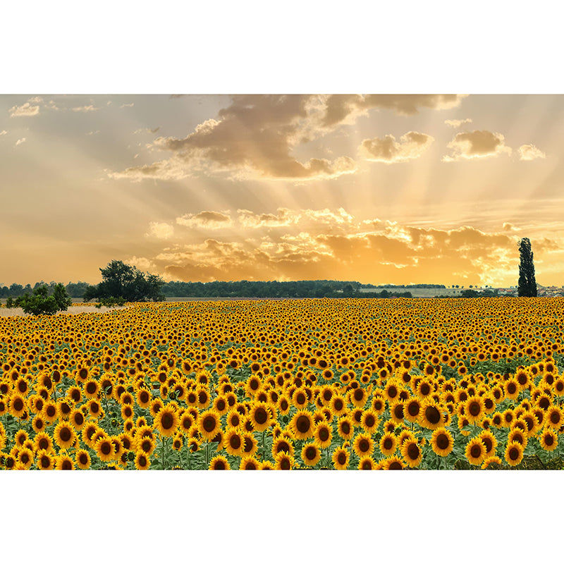 Modern Sunflower Mural Wallpaper Stain Resistant Wall Covering for Living Room