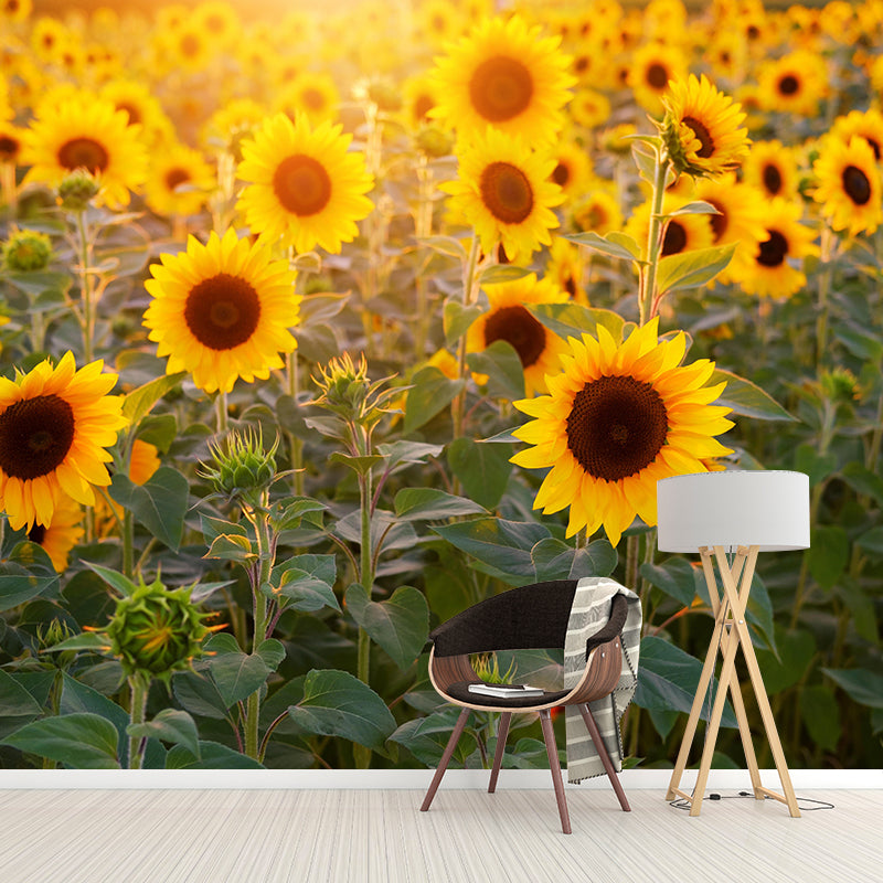 Modern Sunflower Mural Wallpaper Stain Resistant Wall Covering for Living Room