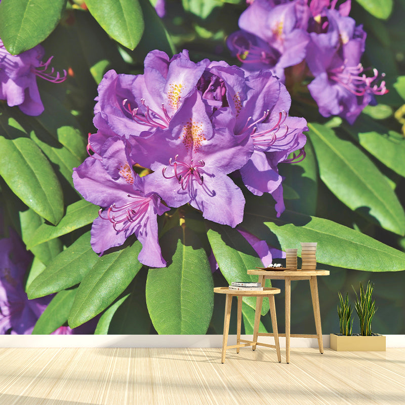 Modern Rhododendron Mural Wallpaper Stain Resistant Wall Covering for Living Room