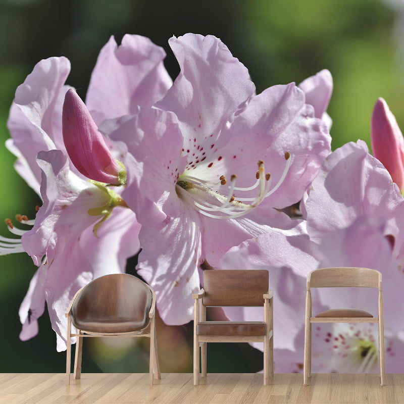 Modern Rhododendron Mural Wallpaper Stain Resistant Wall Covering for Living Room